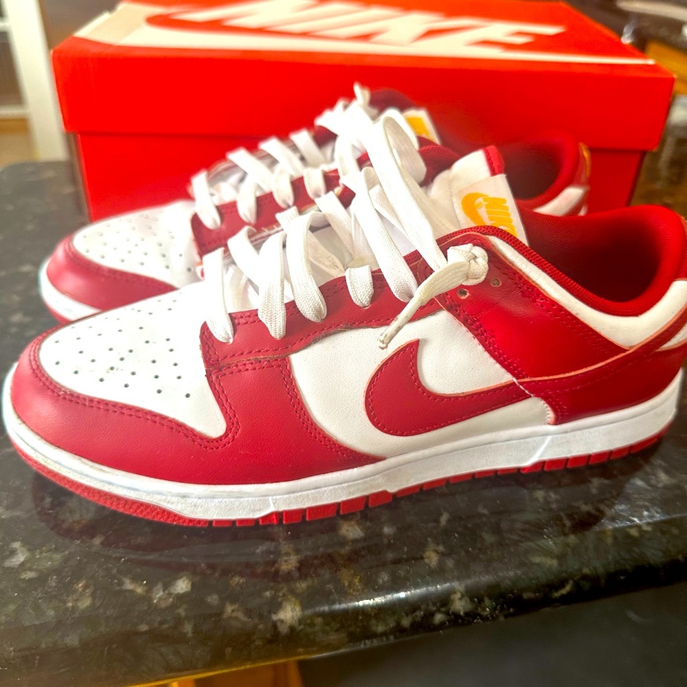 Nike Dunk low retro
